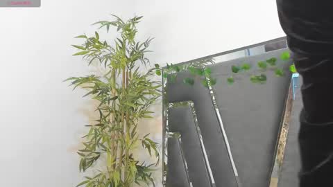 B L A C K  R O S E  online show from 10, 2, 2025