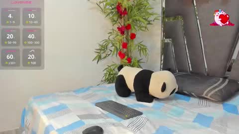 B L A C K  R O S E  online show from 26, 2, 2025