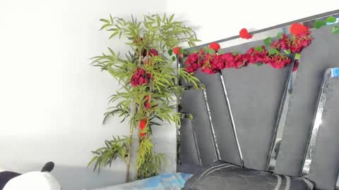 B L A C K  R O S E  online show from 12, 3, 2025