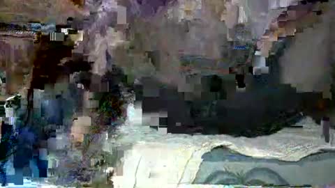 Snapshot of black_seed_donor chatting on 23, 11, 2025 GOT YOU online show from 23, 11, 2025