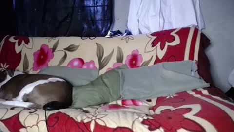 Snapshot of blackpanter_13 chatting on 27, 9, 2025 Black Panther online show from 27, 9, 2025