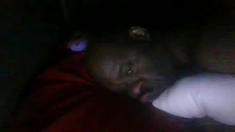 Snapshot of blackteddybear chatting on 2, 3, 2026 blackteddybear online show from 2, 3, 2026