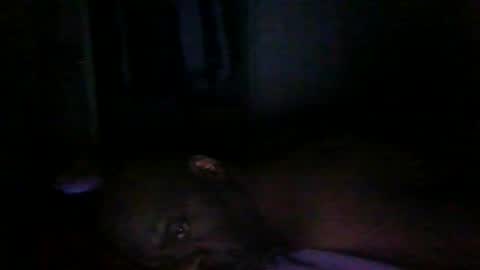 Snapshot of blackteddybear chatting on 9, 3, 2026 blackteddybear online show from 9, 3, 2026