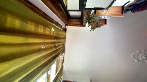 Blair online show from 16, 11, 2025