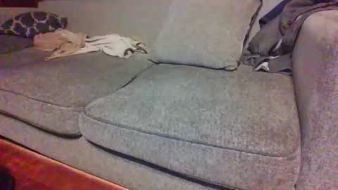 blaw_1321 online show from 15, 4, 2026