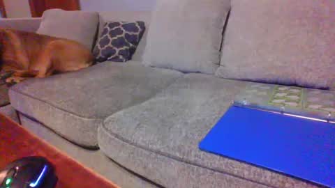Snapshot of blaw_1321 chatting on 21, 6, 2026 blaw_1321 online show from 21, 6, 2026