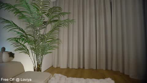 Bliss online show from 12, 2, 2025