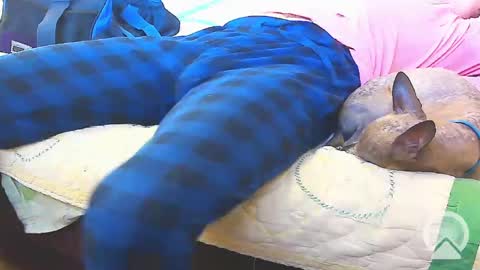 Snapshot of blondieblu89 chatting on 13, 2, 2025 First Time College Boy online show from 13, 2, 2025