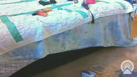 Snapshot of blondieblu89 chatting on 20, 2, 2025 First Time College Boy online show from 20, 2, 2025