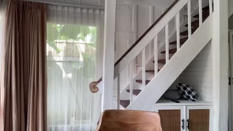 Emma Bloom online show from 14, 1, 2026