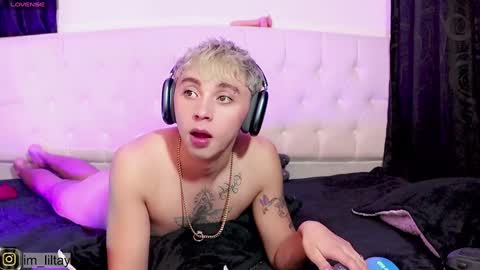 TAY   online show from 26, 12, 2024