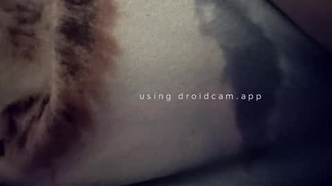 bluealpakka online show from 15, 3, 2026