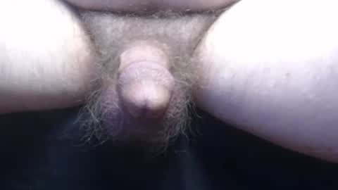 bluebee420 online show from 13, 11, 2025