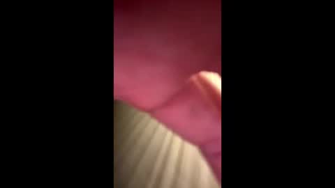 Blueyloey online show from 3, 11, 2025