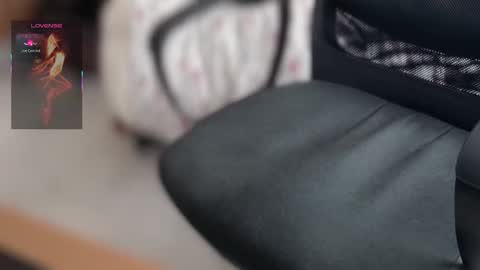 Bobby online show from 19, 3, 2026