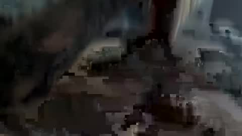 bobdillon401 online show from 22, 2, 2025