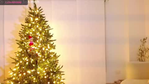 danna online show from 11, 12, 2024