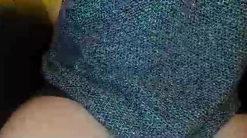 bogus25 online show from 8, 3, 2026