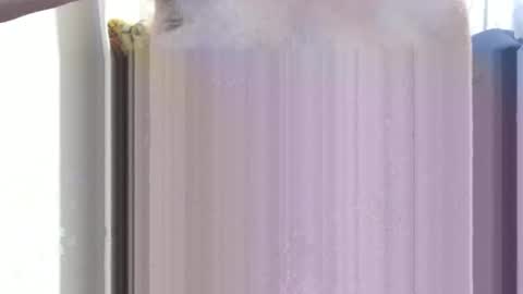 Snapshot of bolbil1 chatting on 15, 12, 2024 bolbil1 online show from 15, 12, 2024