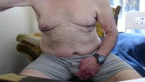 bolbil1 online show from 26, 4, 2026