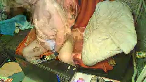 Snapshot of bomber59potsdam chatting on 6, 1, 2025 Bomber59potsdam online show from 6, 1, 2025