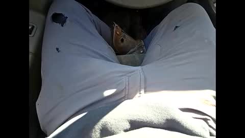 bombinshaman online show from 12, 1, 2026