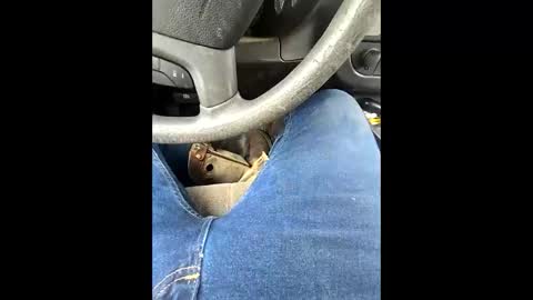 bombinshaman online show from 4, 2, 2026