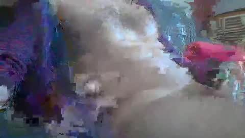 bonnieclyde90 online show from 12, 10, 2025