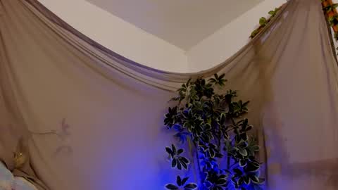 Snapshot of bonniecute_ chatting on 11, 10, 2025 online show from 11, 10, 2025