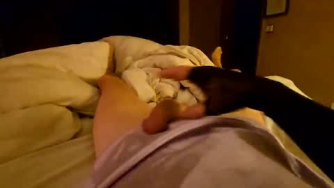 silky sissy sarah online show from 6, 4, 2026