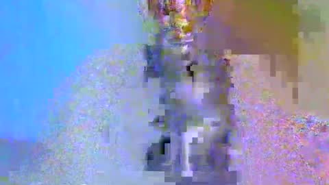 Snapshot of boobbyb chatting on 24, 10, 2025 boobbyb online show from 24, 10, 2025