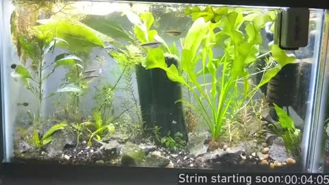 Booker Baxton online show from 15, 12, 2024