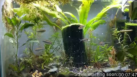 Booker Baxton online show from 25, 12, 2024