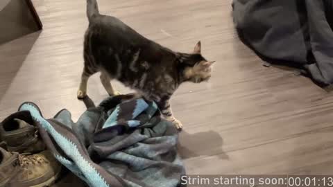 Booker Baxton online show from 28, 12, 2024