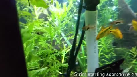 Booker Baxton online show from 8, 2, 2025