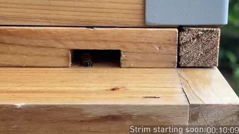 Booker Baxton online show from 22, 10, 2025