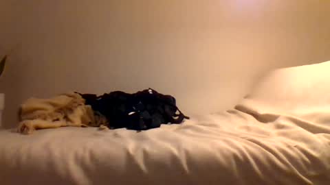 booty4pegging online show from 3, 3, 2025