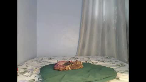 sandrah online show from 26, 9, 2025