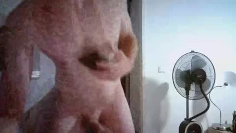 borderlanddu13 online show from 26, 10, 2025