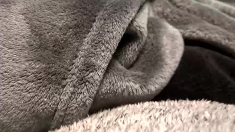 Borderslad1101 online show from 23, 11, 2025