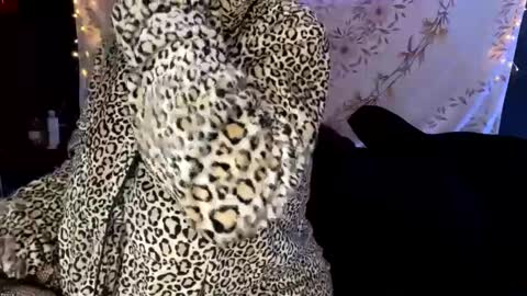 Snapshot of bossmomma chatting on 13, 12, 2024 BossMom online show from 13, 12, 2024