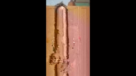 Snapshot of bossusaround chatting on 9, 2, 2026 bossusaround online show from 9, 2, 2026