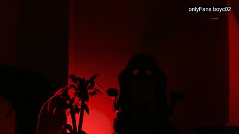 boyc02_ online show from 26, 12, 2024