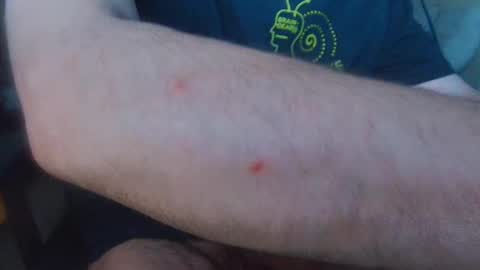 brainrrawtt online show from 11, 3, 2025