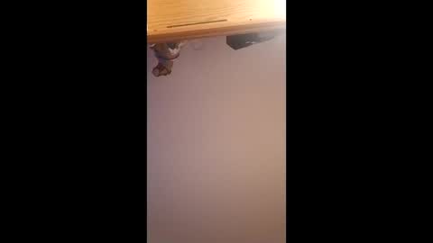 brandon281997 online show from 1, 4, 2026