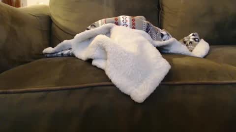 Snapshot of brandondot chatting on 31, 12, 2024 brandondot online show from 31, 12, 2024