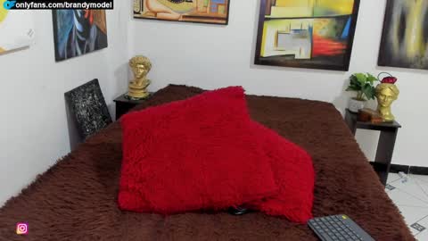 Snapshot of brandymodel chatting on 12, 1, 2025 Brandy Model online show from 12, 1, 2025