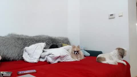 Snapshot of bratzdoll1994 chatting on 4, 11, 2025 bratzdoll1994 online show from 4, 11, 2025