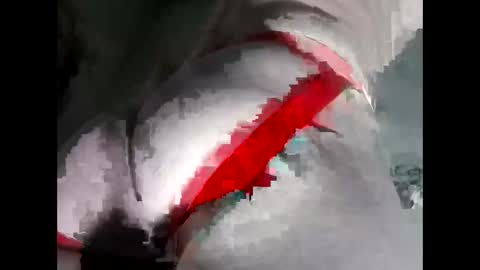 Snapshot of breezyy8 chatting on 19, 11, 2025 Anal-Prince online show from 19, 11, 2025