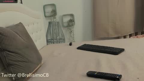 Snapshot of brell_line chatting on 17, 2, 2025 Brelland online show from 17, 2, 2025